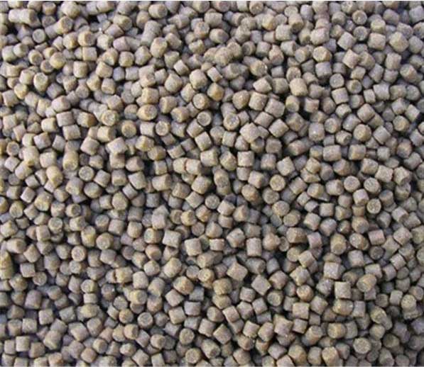 elite trout fishing pellets for carp fishing for sale